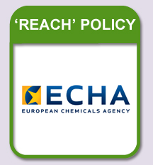 REACH Policy